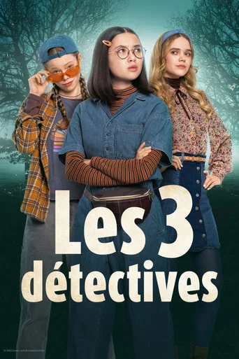 Regarder Les 3 détectives en streaming complet