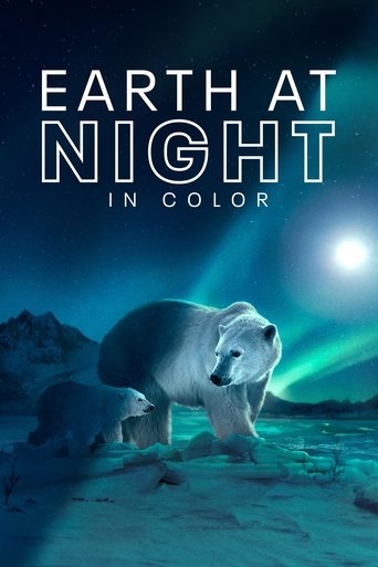 Regarder Terre : les couleurs nocturnes en streaming complet