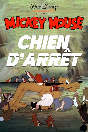Regarder Chien d'Arrêt en streaming complet