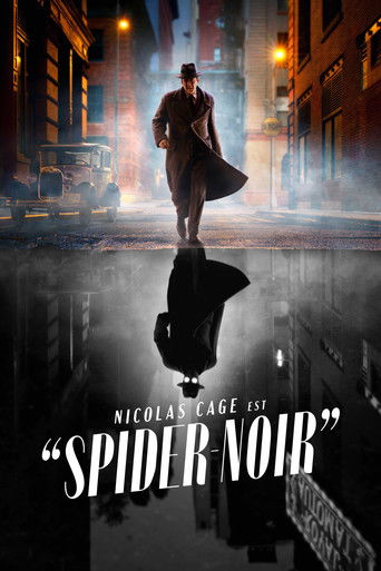 Regarder Spider-Noir en streaming complet