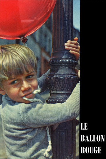 Regarder Le Ballon rouge en streaming complet