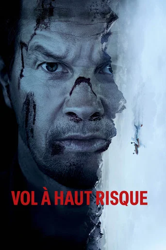 Regarder Vol à haut risque en streaming complet